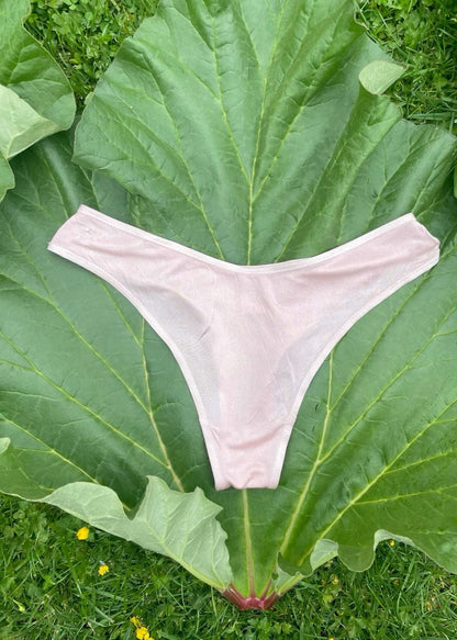 Earth Silk Panty